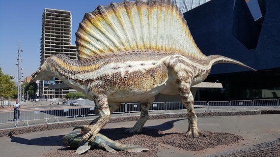 Museo de Ciencias Naturales de Barcelona